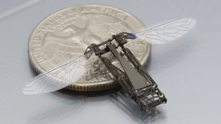 Illustration for article titled Millions of these robotic bees may roam the world in the near future